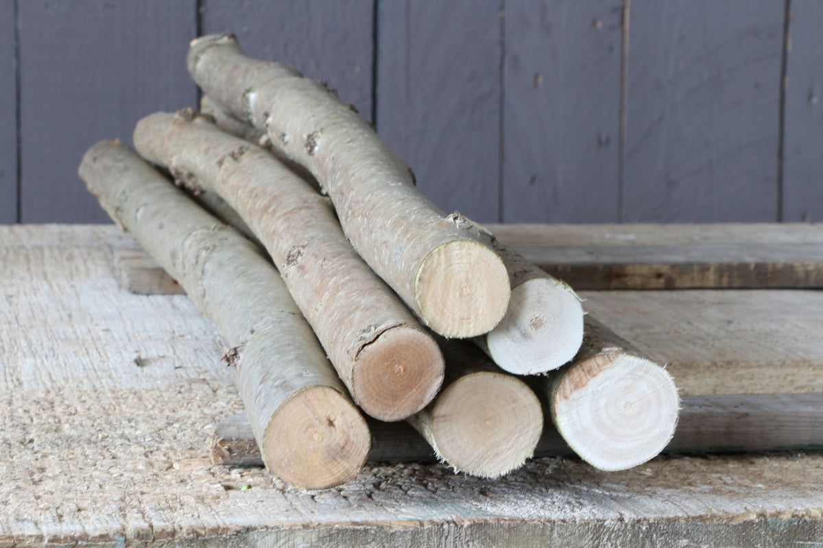 6 Stück Haselnussäste 2-3 cm dick, Bastelholz, Schnitzholz, Sitzäste, DIY-Zubehör, Haselnusszweige, Holz Requisiten, Stöcke für Stockbrot