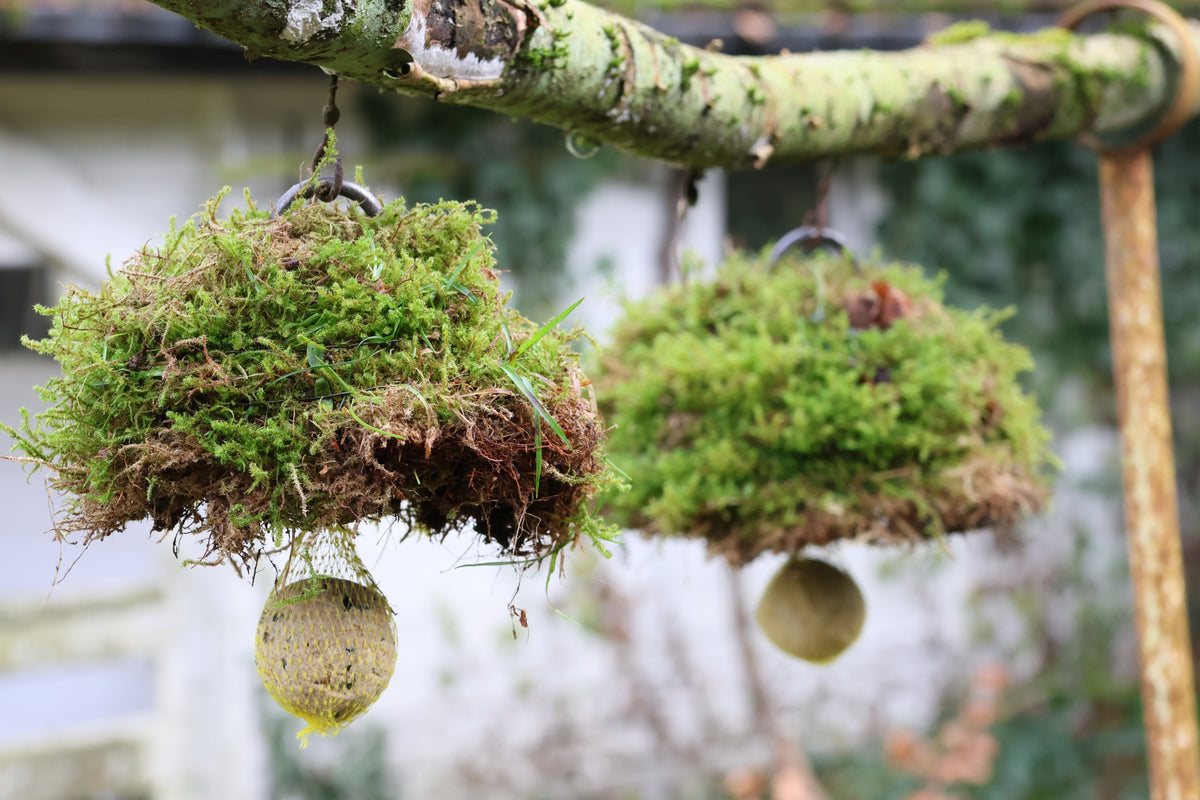 Meisenknödelhalter mit Dach für Naturmaterialien, Meisenknödelhalter mit Dach für Moosarbeiten