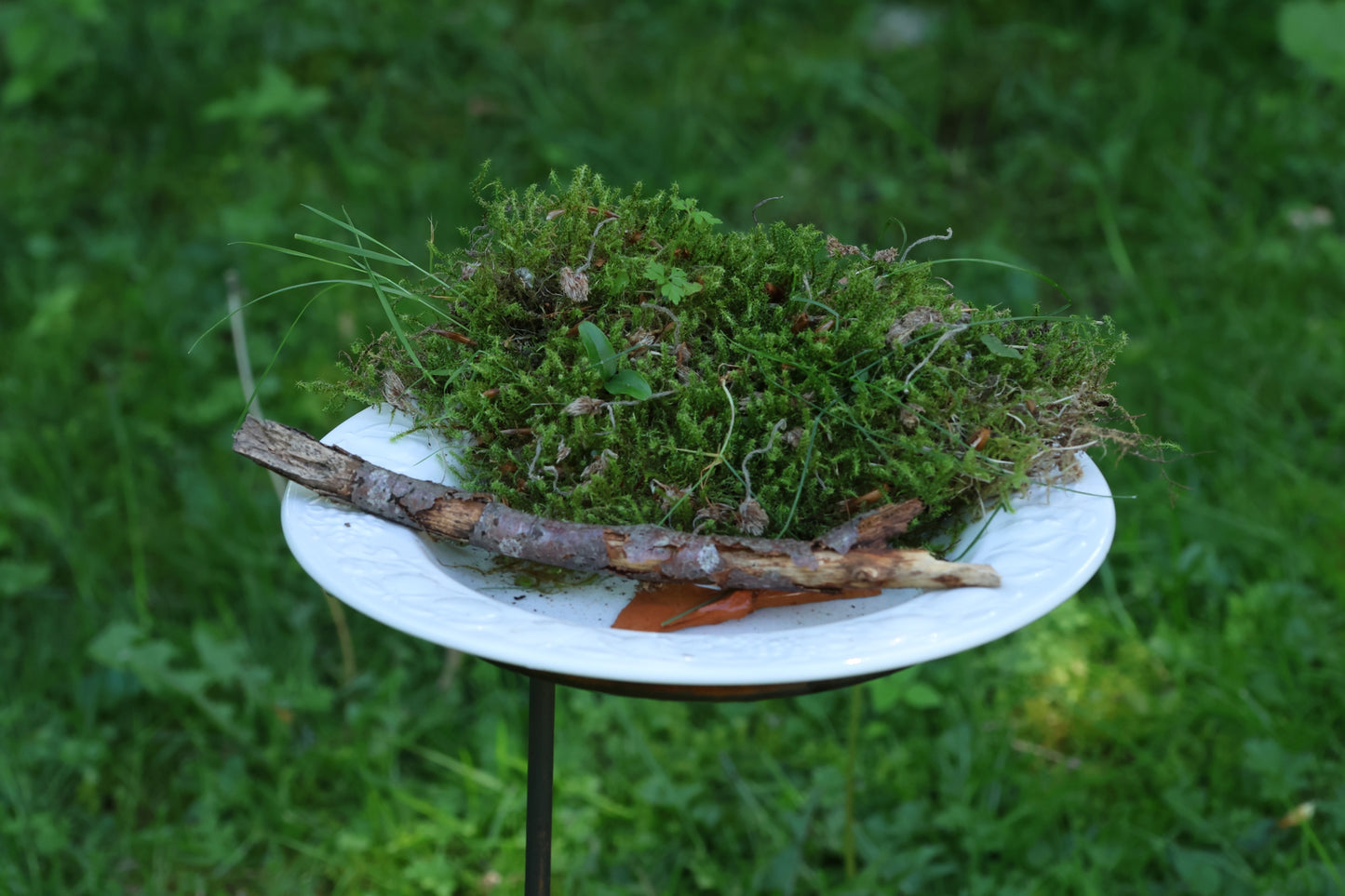 3er Set Vogeltränke,Vogeltränkenhalter, Insektentränke, Wasserfänger