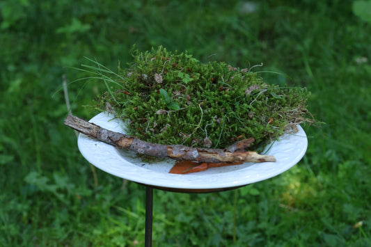 Blütenstützen werden zur Upcycling Vogel- und Insektentränke