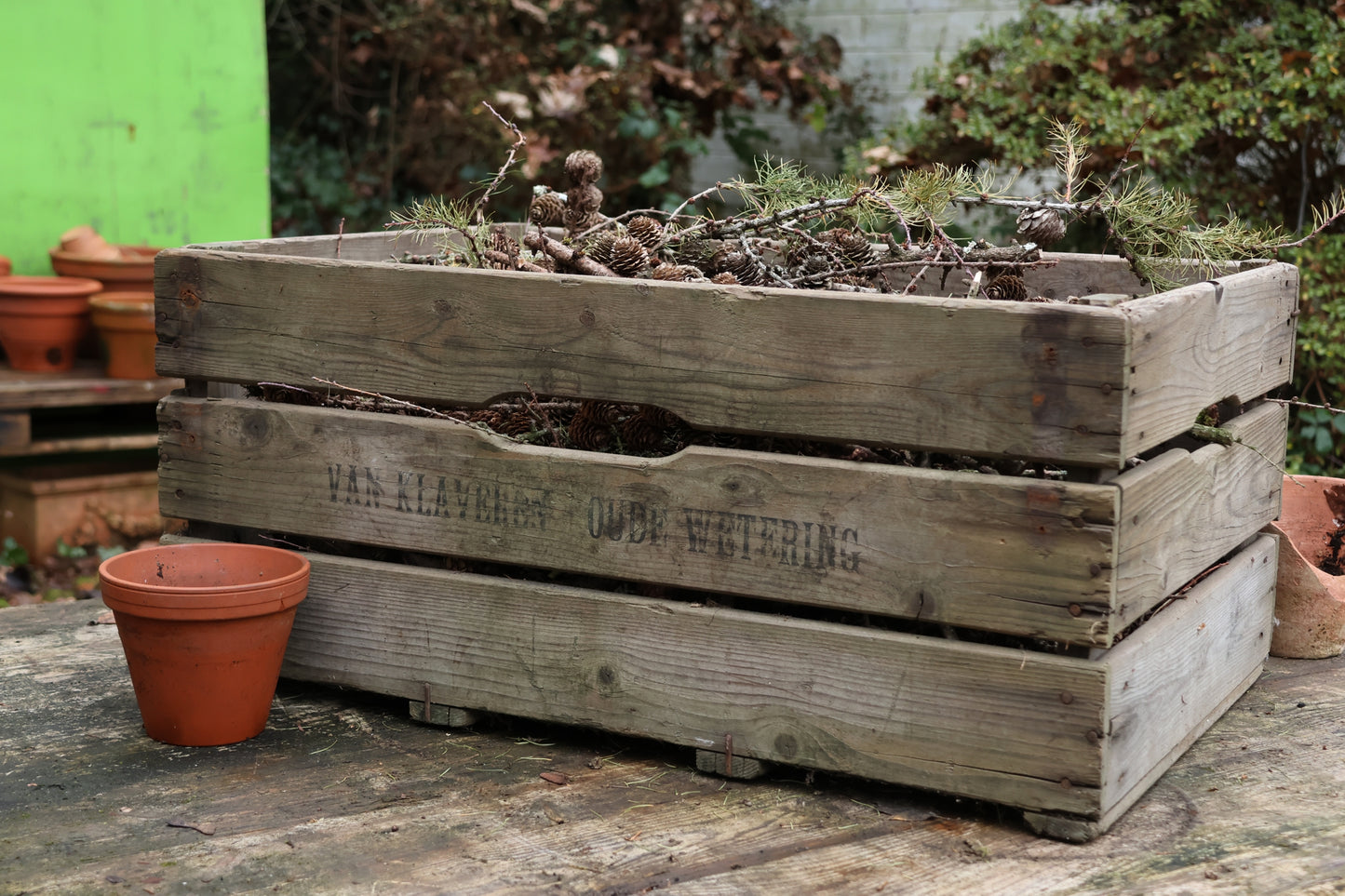 Alte Holzkiste mit Lärchenzapfen, Lärchenzapfen komplett mit XXL Holzkiste, Lärche für DIY Projekt, Dekokiste prall gefüllt mit Lärche, DIY