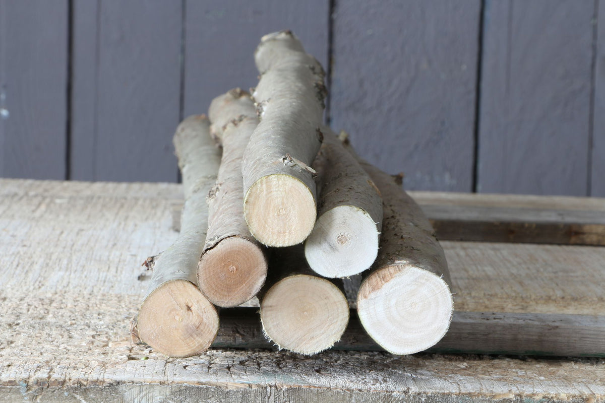 6 Stück Haselnussäste 2-3 cm dick, Bastelholz, Schnitzholz, Sitzäste, DIY-Zubehör, Haselnusszweige, Holz Requisiten, Stöcke für Stockbrot