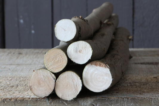 6 Stück Haselnussäste 2-3 cm dick, Bastelholz, Schnitzholz, Sitzäste, DIY-Zubehör, Haselnusszweige, Holz Requisiten, Stöcke für Stockbrot