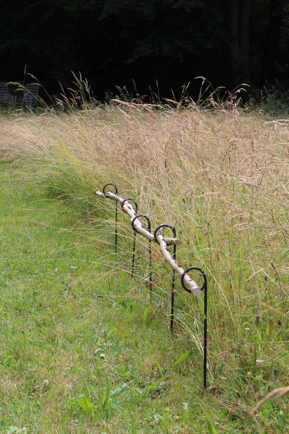 5 Stück Staudenhalter - 1-Auge, verschiedenen Längen, Blütenstütze, Teichzaun