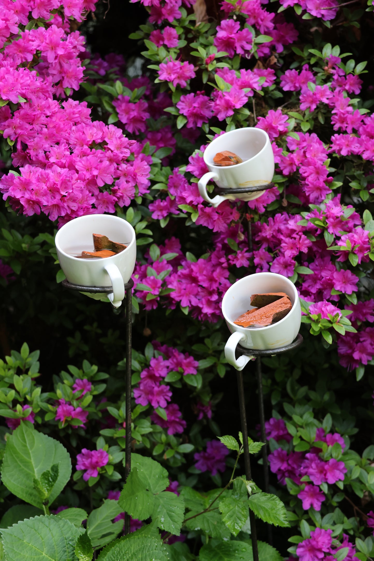 Insektentränke 3 Stück, Wasserfänger, Bienentränke, Halter für Wasserschale, Kaffeetassenhalter