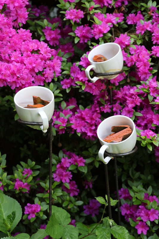 Insektentränke 3 Stück, Wasserfänger, Bienentränke, Halter für Wasserschale, Kaffeetassenhalter
