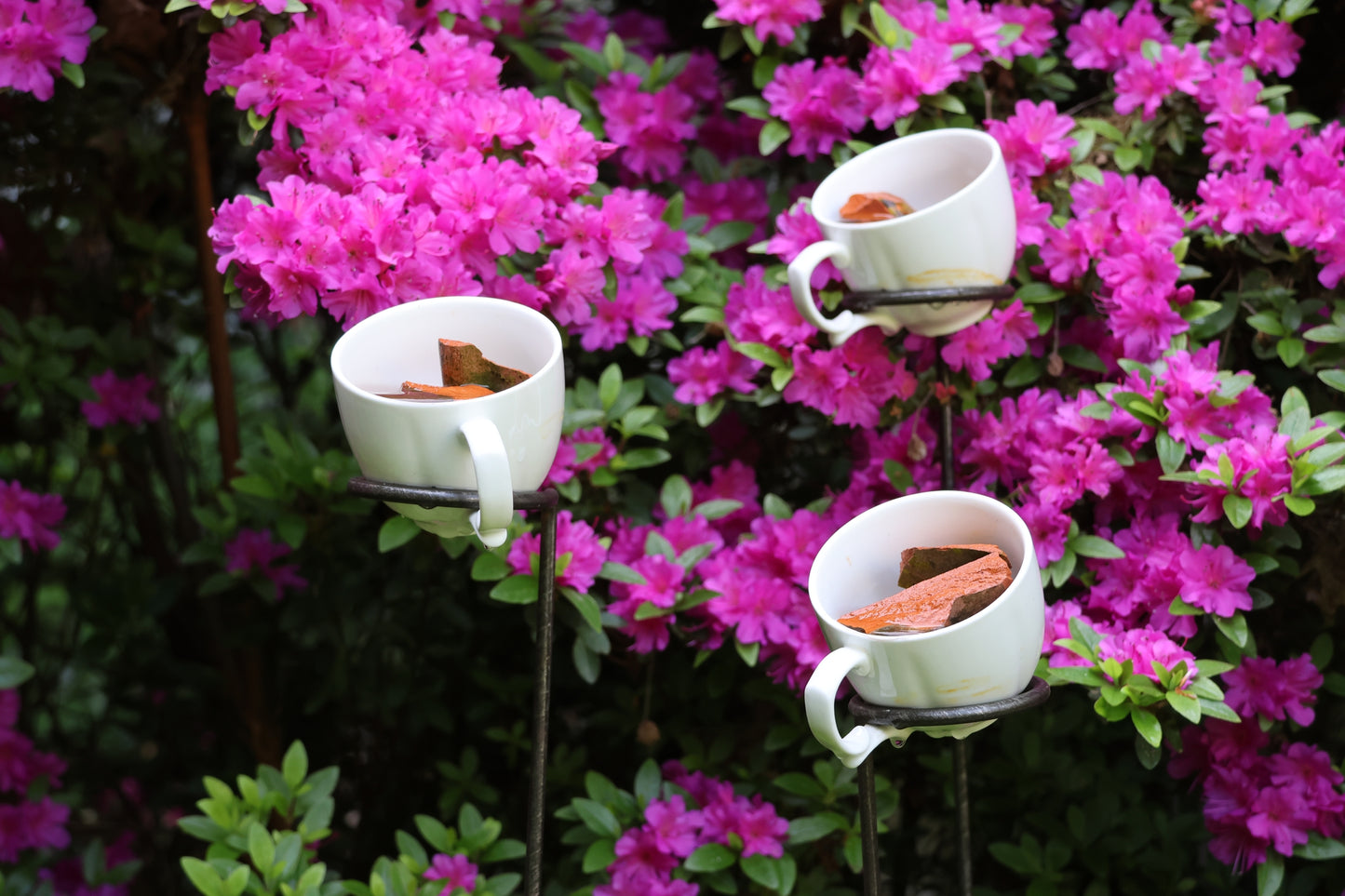 Insektentränke 3 Stück, Wasserfänger, Bienentränke, Halter für Wasserschale, Kaffeetassenhalter