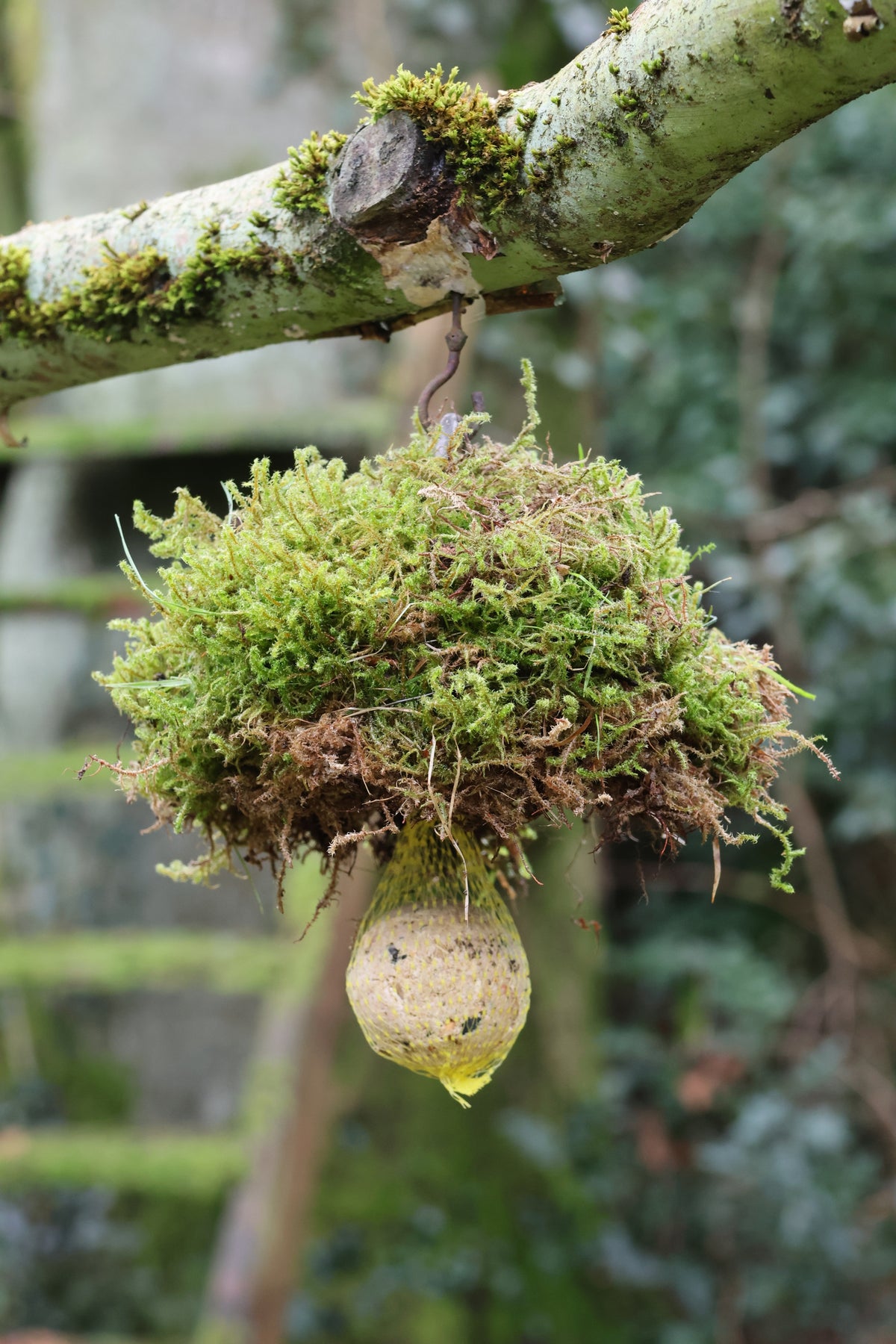 Meisenknödelhalter mit Dach für Naturmaterialien, Meisenknödelhalter mit Dach für Moosarbeiten