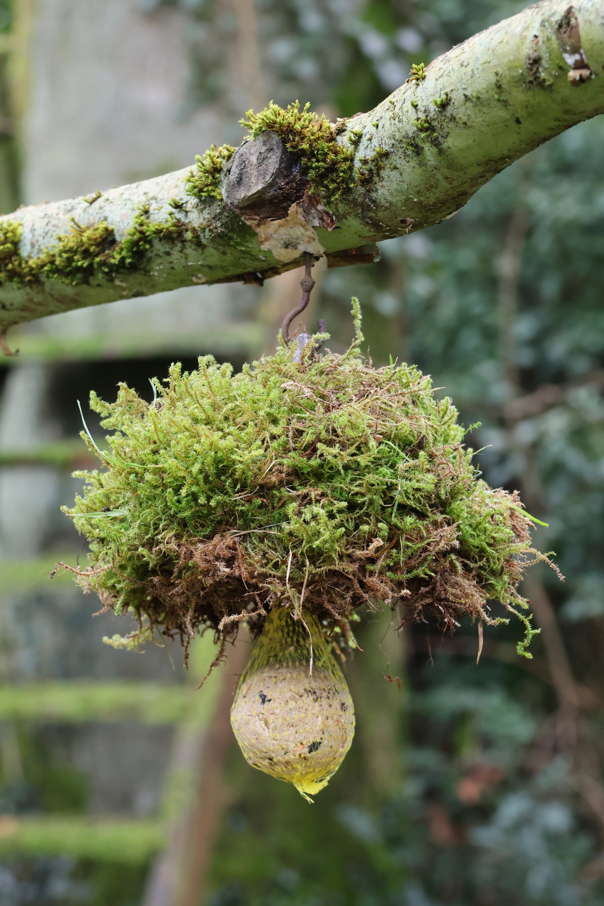 Meisenknödelhalter mit Dach für Naturmaterialien, Meisenknödelhalter mit Dach für Moosarbeiten