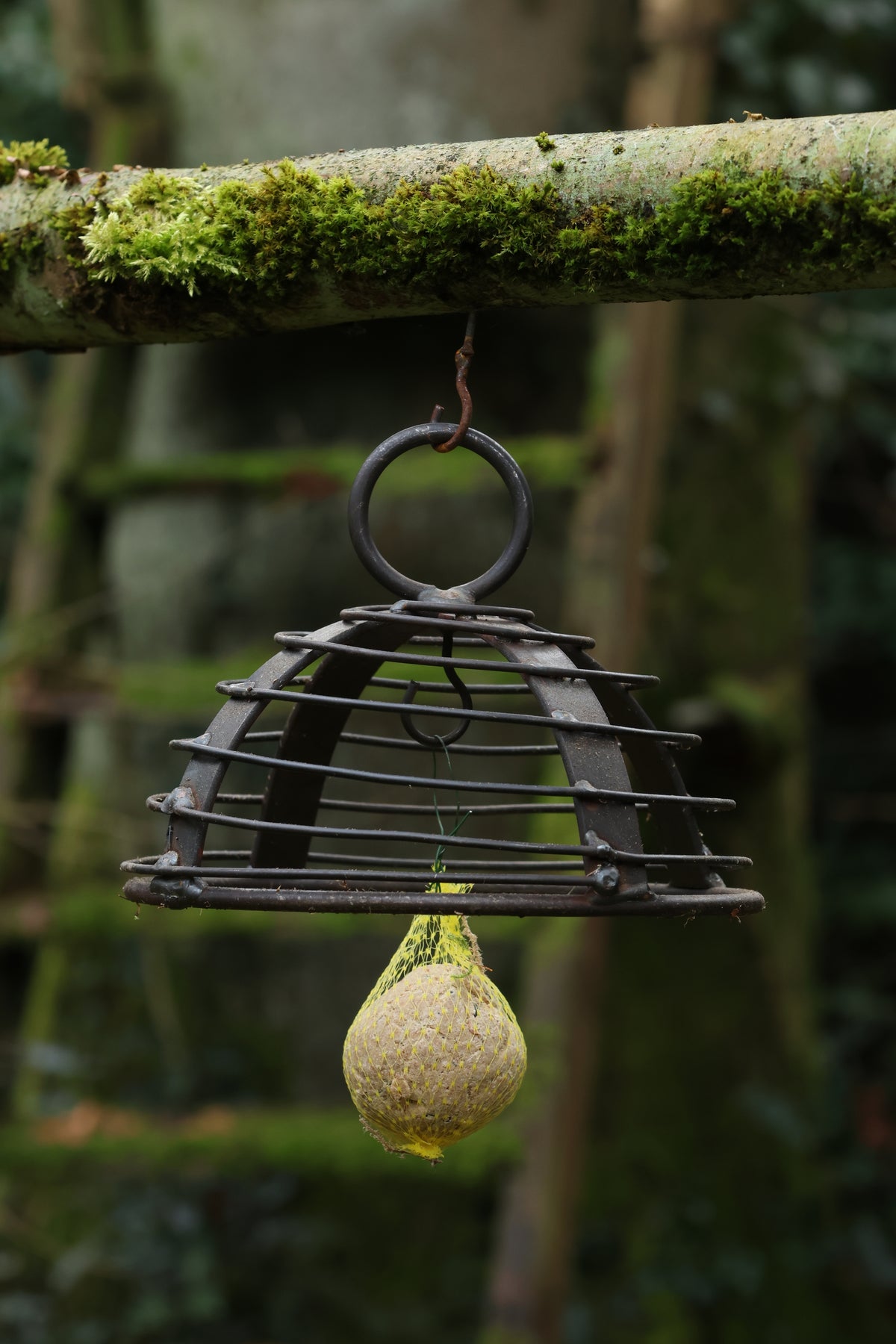 Meisenknödelhalter mit Dach für Naturmaterialien, Meisenknödelhalter mit Dach für Moosarbeiten