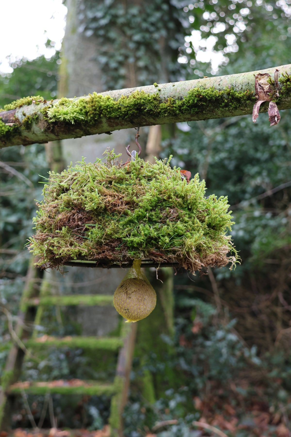 Meisenknödelhalter mit Dach für Naturmaterialien, Meisenknödelhalter mit Dach für Moosarbeiten