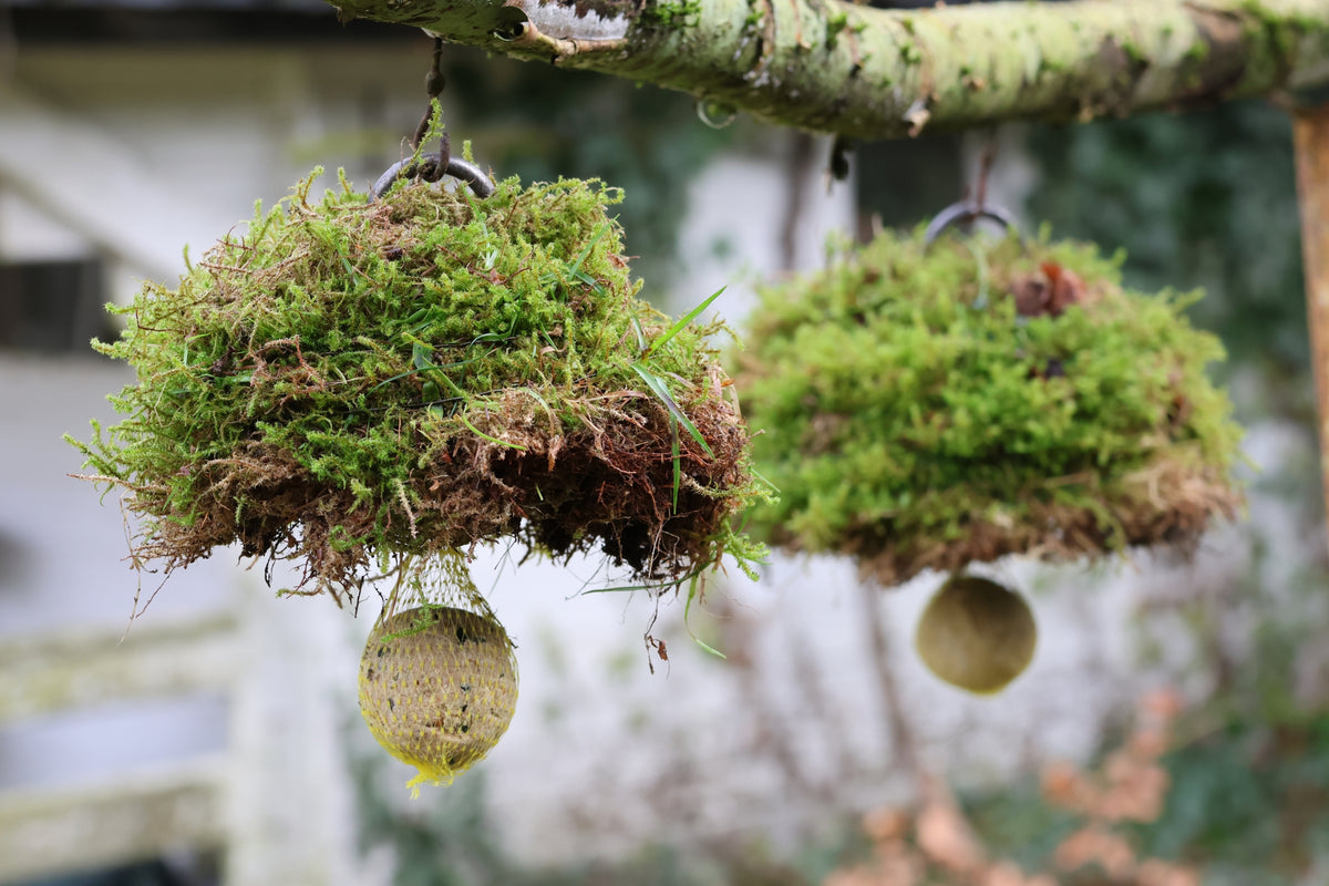 Meisenknödelhalter mit Dach für Naturmaterialien, Meisenknödelhalter mit Dach für Moosarbeiten