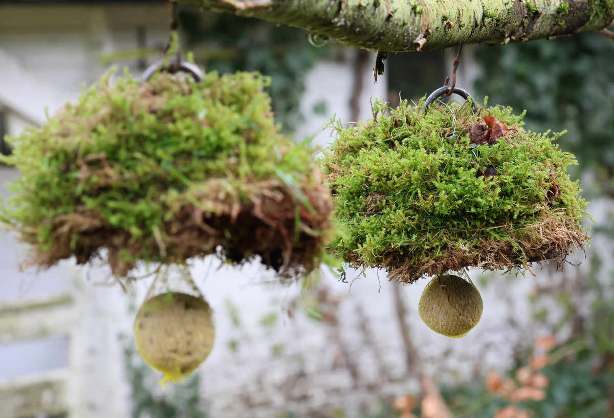 Meisenknödelhalter mit Dach für Naturmaterialien, Meisenknödelhalter mit Dach für Moosarbeiten