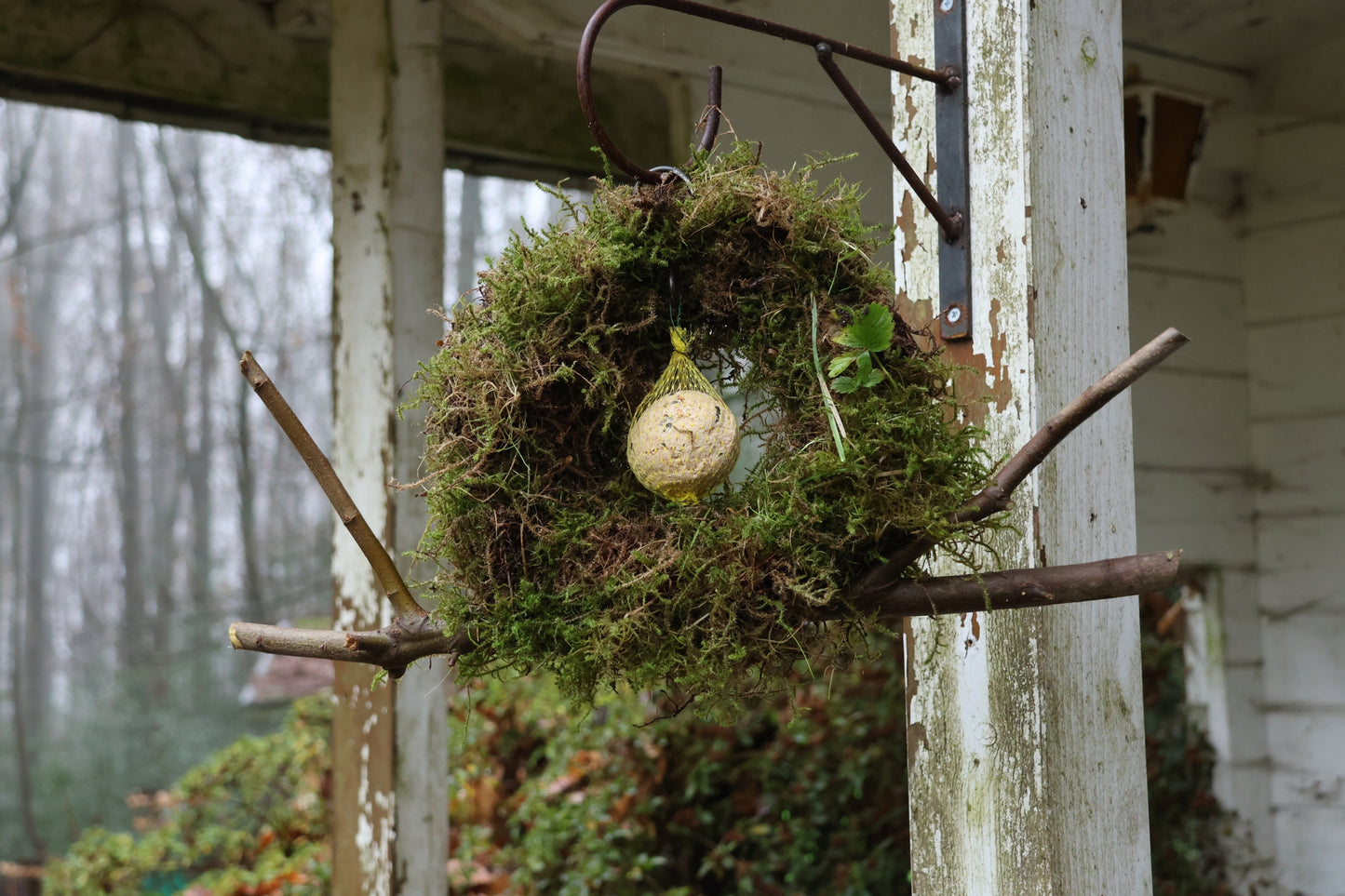 Meisenknödelring zum hängen