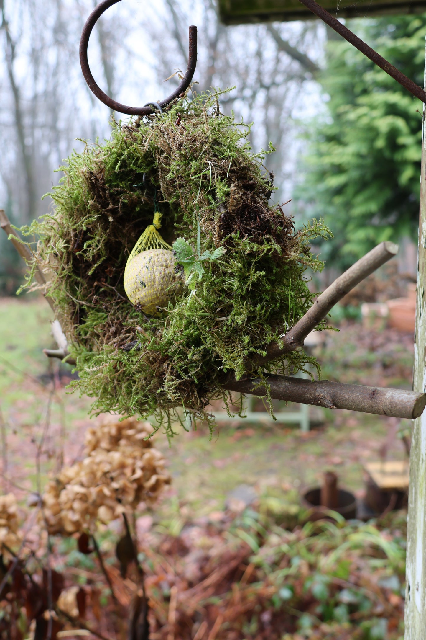 Meisenknödelring zum hängen