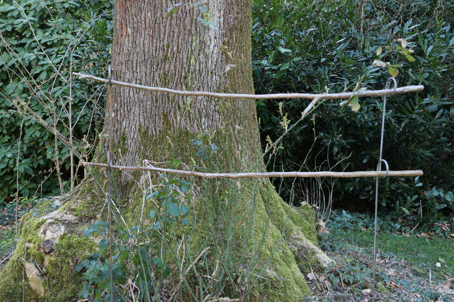 5 Stück Staudenhalter 2-Auge,  verschiedene Längen, Blumenstütze, Beetbegrenzer,