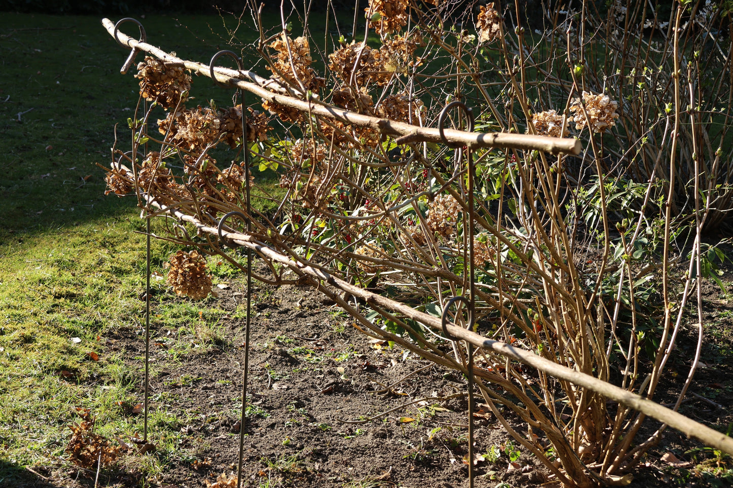 5 Stück Staudenhalter 2-Auge,  verschiedene Längen, Blumenstütze, Beetbegrenzer,