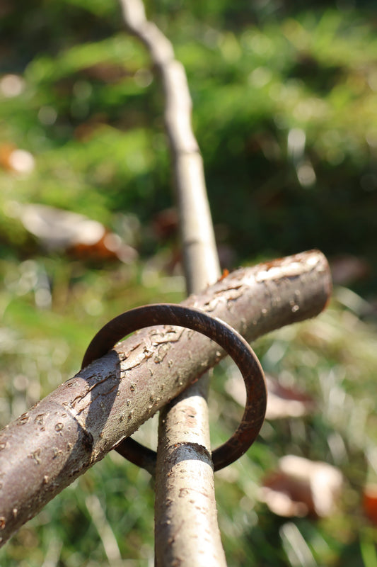 5 Stück Staudenhalter - 1 Ring verschweißt - verschiedene Längen,  Beetbegrenzer, Zaun
