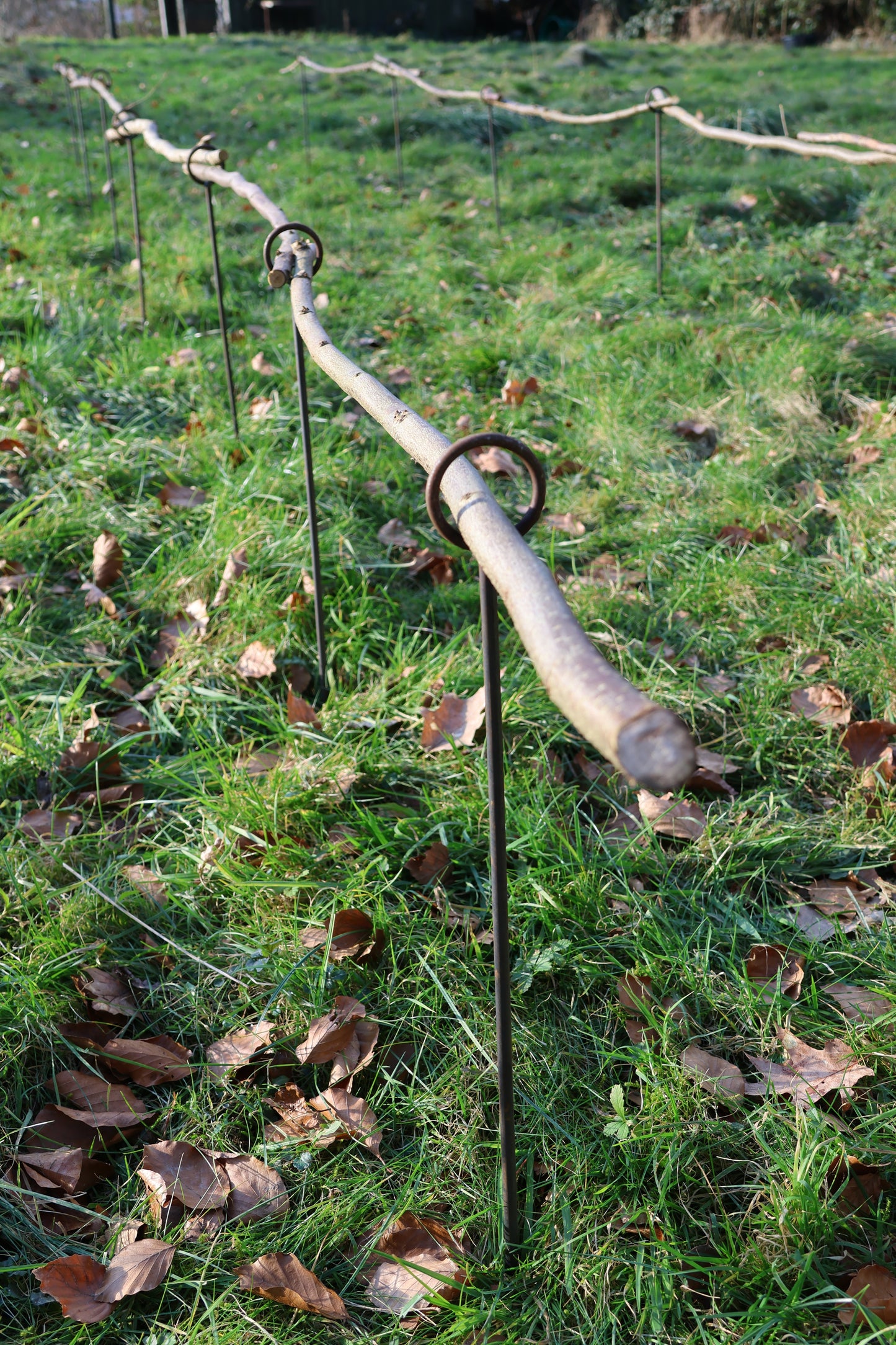 5 Stück Staudenhalter - 1 Ring verschweißt - verschiedene Längen,  Beetbegrenzer, Zaun
