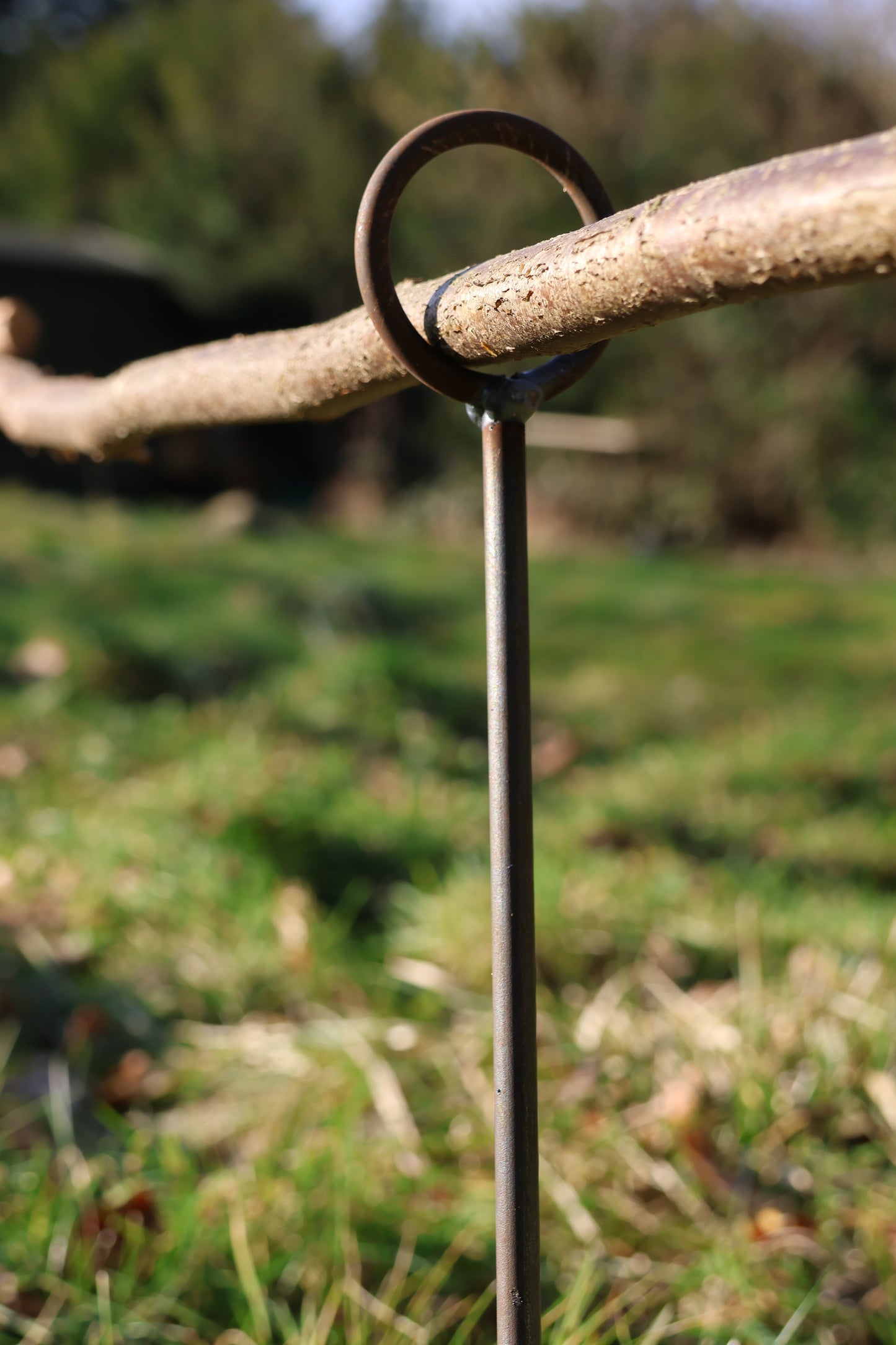 5 Stück Staudenhalter - 1 Ring verschweißt - verschiedene Längen,  Beetbegrenzer, Zaun
