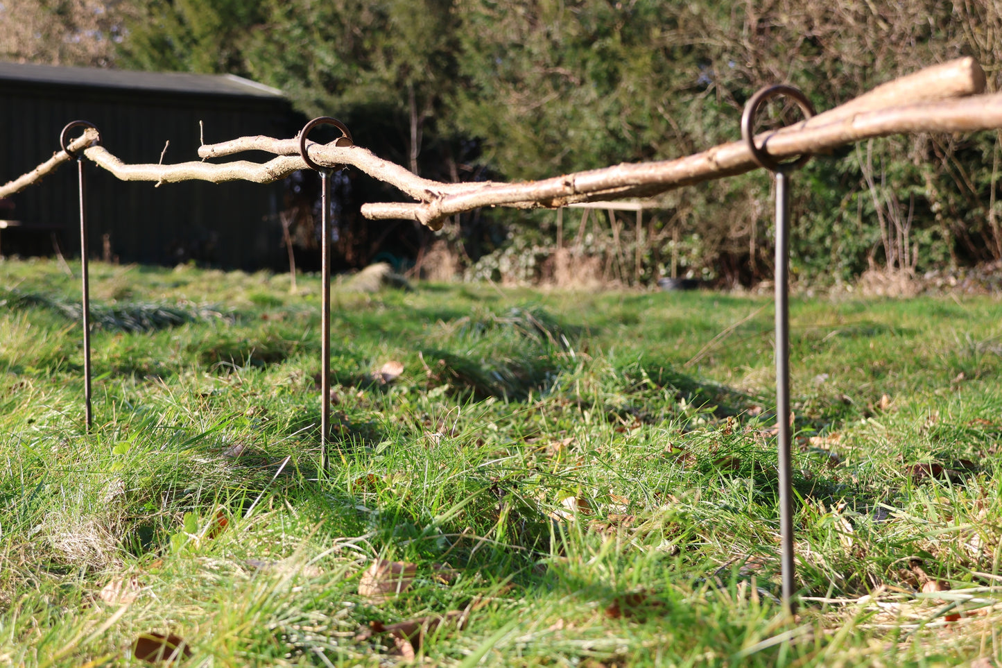 5 Stück Staudenhalter - 1 Ring verschweißt - verschiedene Längen,  Beetbegrenzer, Zaun