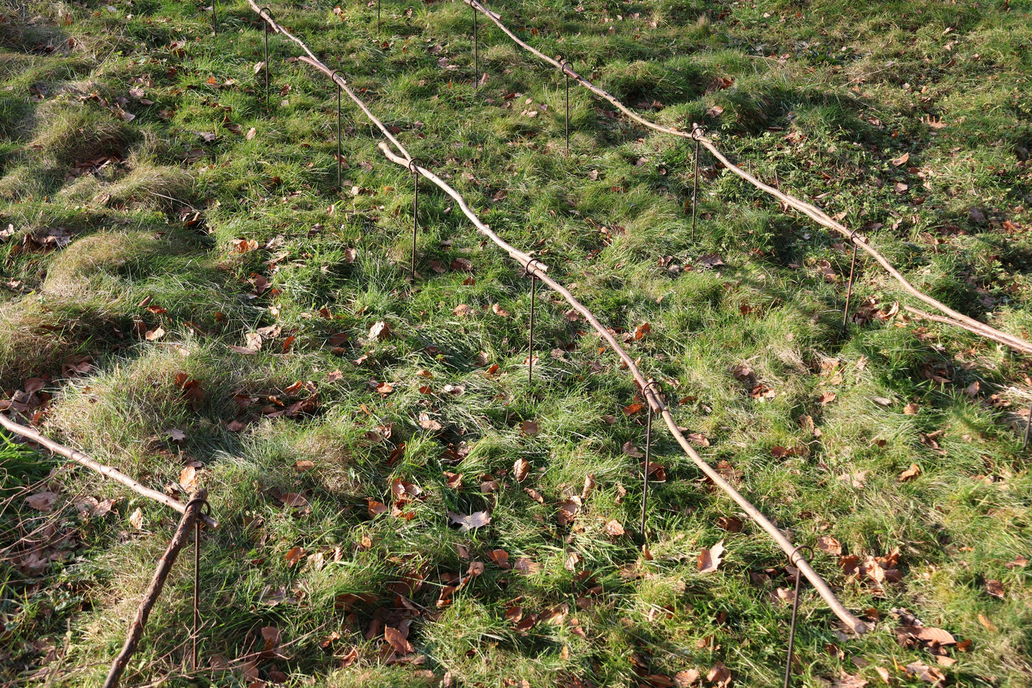 5 Stück Staudenhalter - 1 Ring verschweißt - verschiedene Längen,  Beetbegrenzer, Zaun