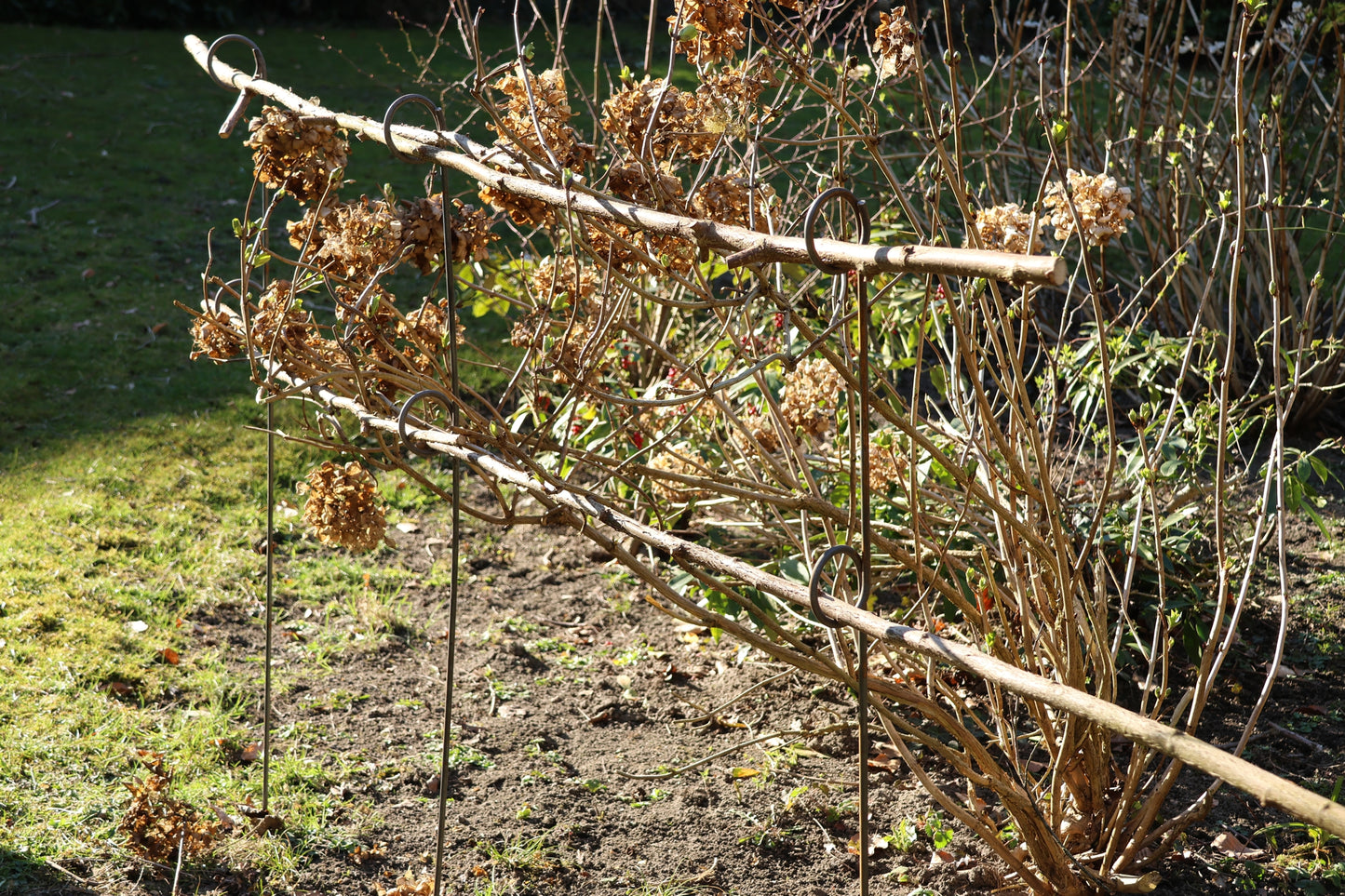 5 Stück Staudenhalter 2-Auge,  verschiedene Längen, Blumenstütze, Beetbegrenzer,