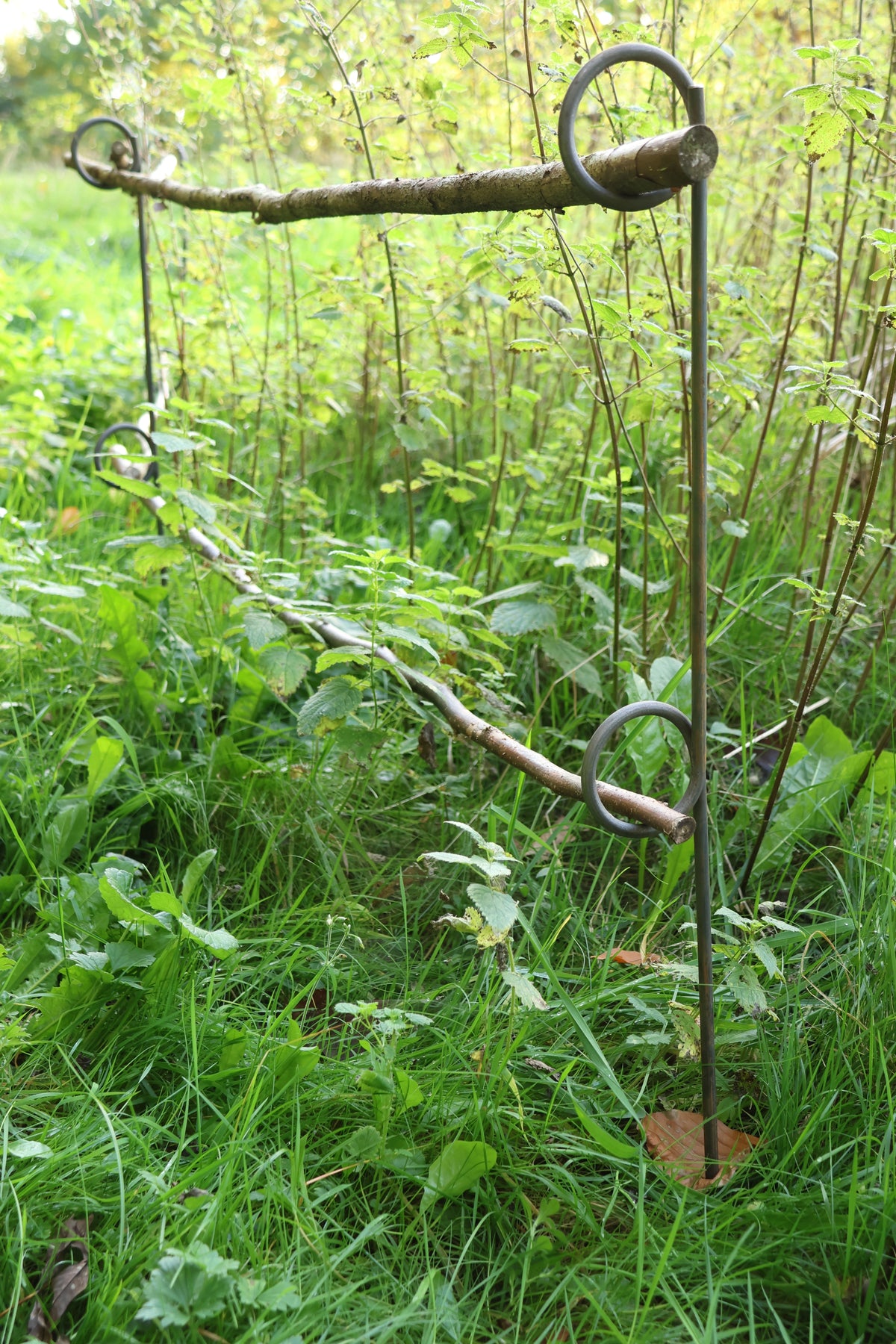 5 Stück Staudenhalter 2-Auge, verschiedene Längen, Blumenstütze, Beetbegrenzer