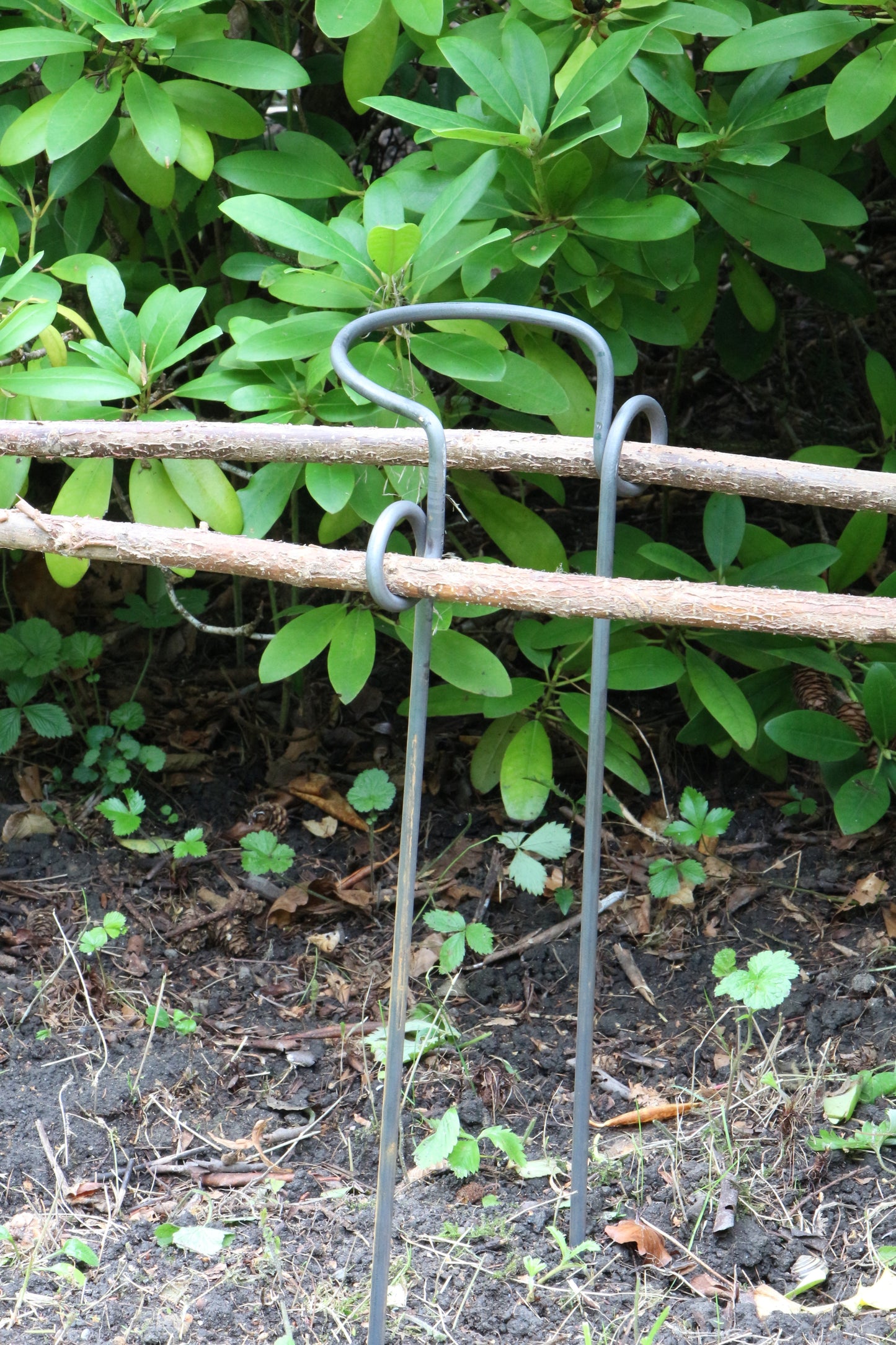 Staudenhalter halbrund mit Auge - verschiedene Breiten