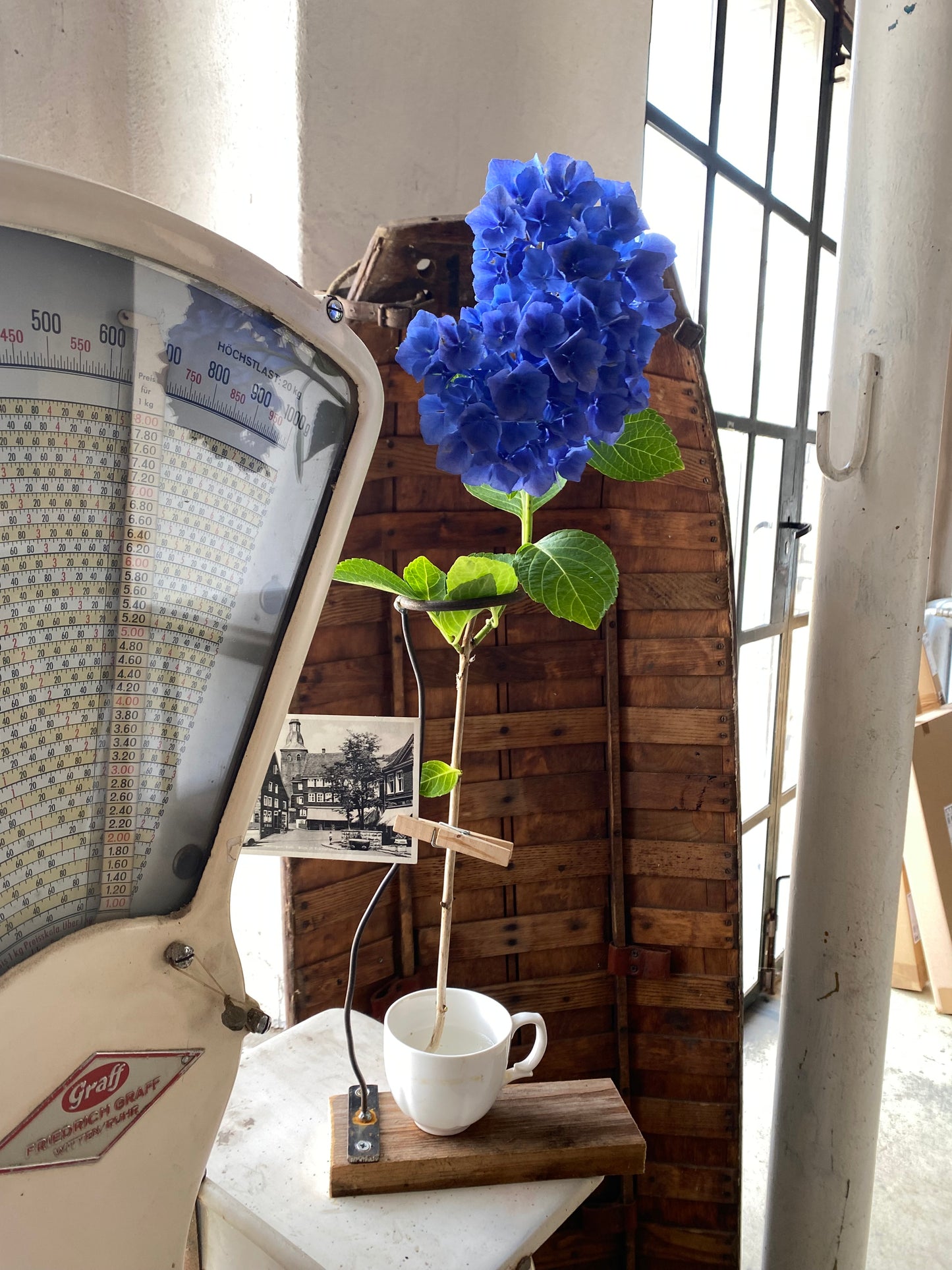 Anschraubring, Vase, DIY Vase, Halter für Schnittblumen