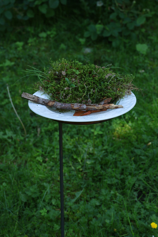3er Set Vogeltränke,Vogeltränkenhalter, Insektentränke, Wasserfänger