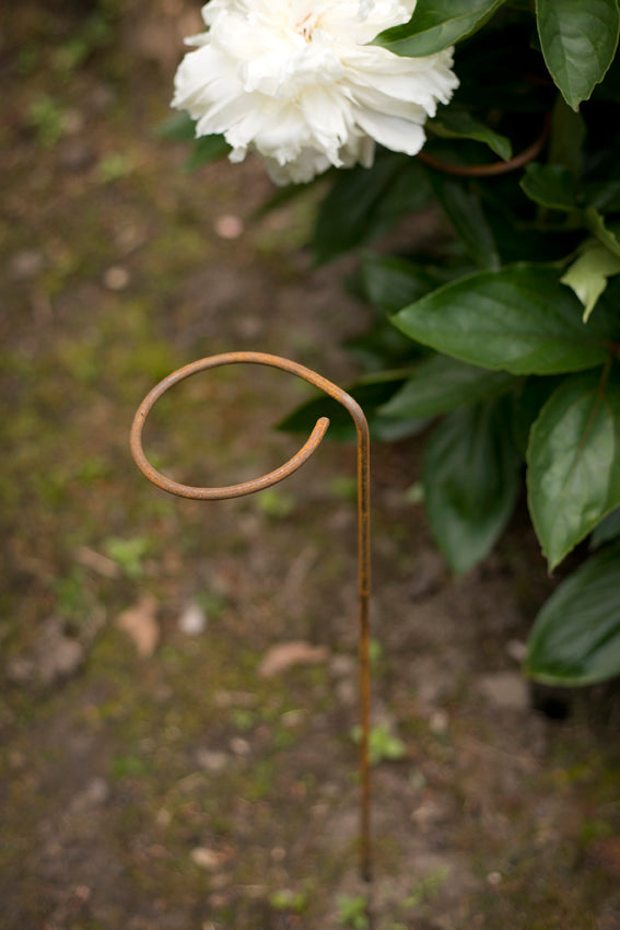 5 Stück Blütenstütze, 6 mm Volleisen, verschiedene Längen, Staudenhalter, Stützstab für Blüten,