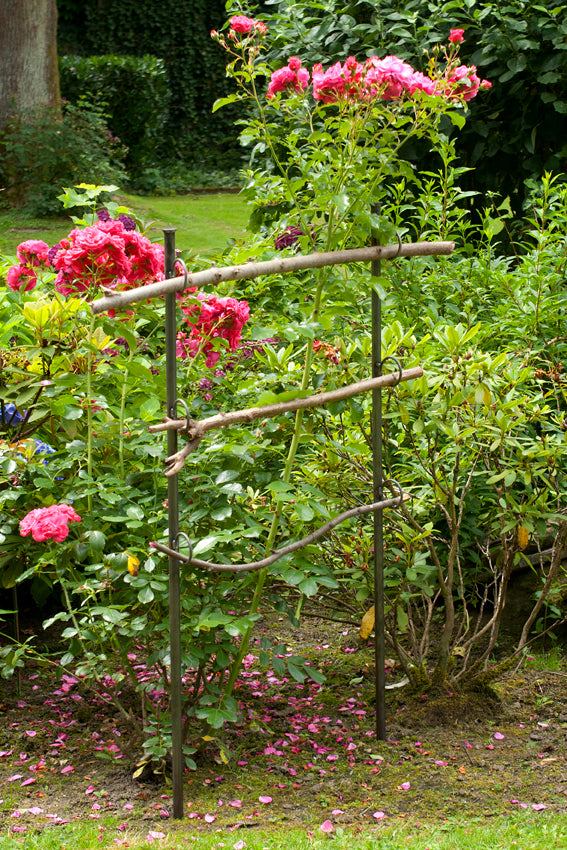 Staudenhalter, Beetbegrenzer, 1,50 Meter, Zaun, Rankhilfe für Beerenobst,  Gartenzaun, Beetrahmen, Strauchstütze, Rankhilfe, Rankgerüst,