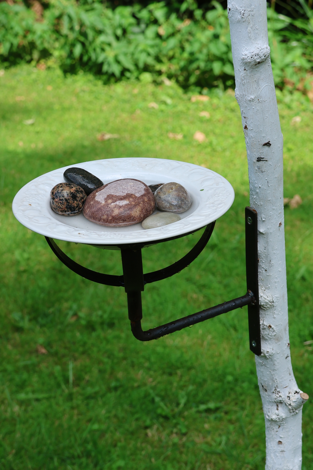 Vogeltränke Wandmontage, Vogeltränke zum anschrauben, Vogeltränke mit Wandhalterung, Futterschale, Vogeltankstelle, Vogelfuttertablett Baum,