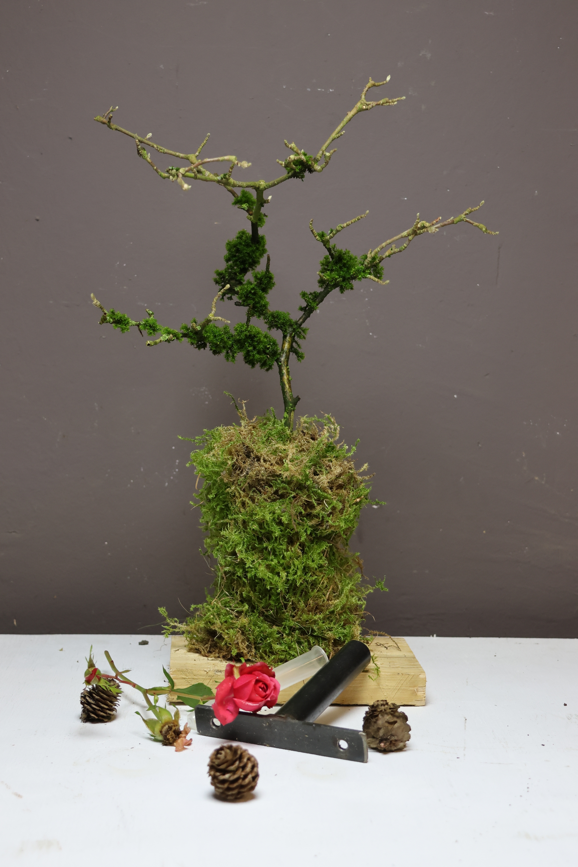 Vase zum aufschrauben, DIY Vase, Eisenvase, Vase zum aufschrauben, Tischdeko