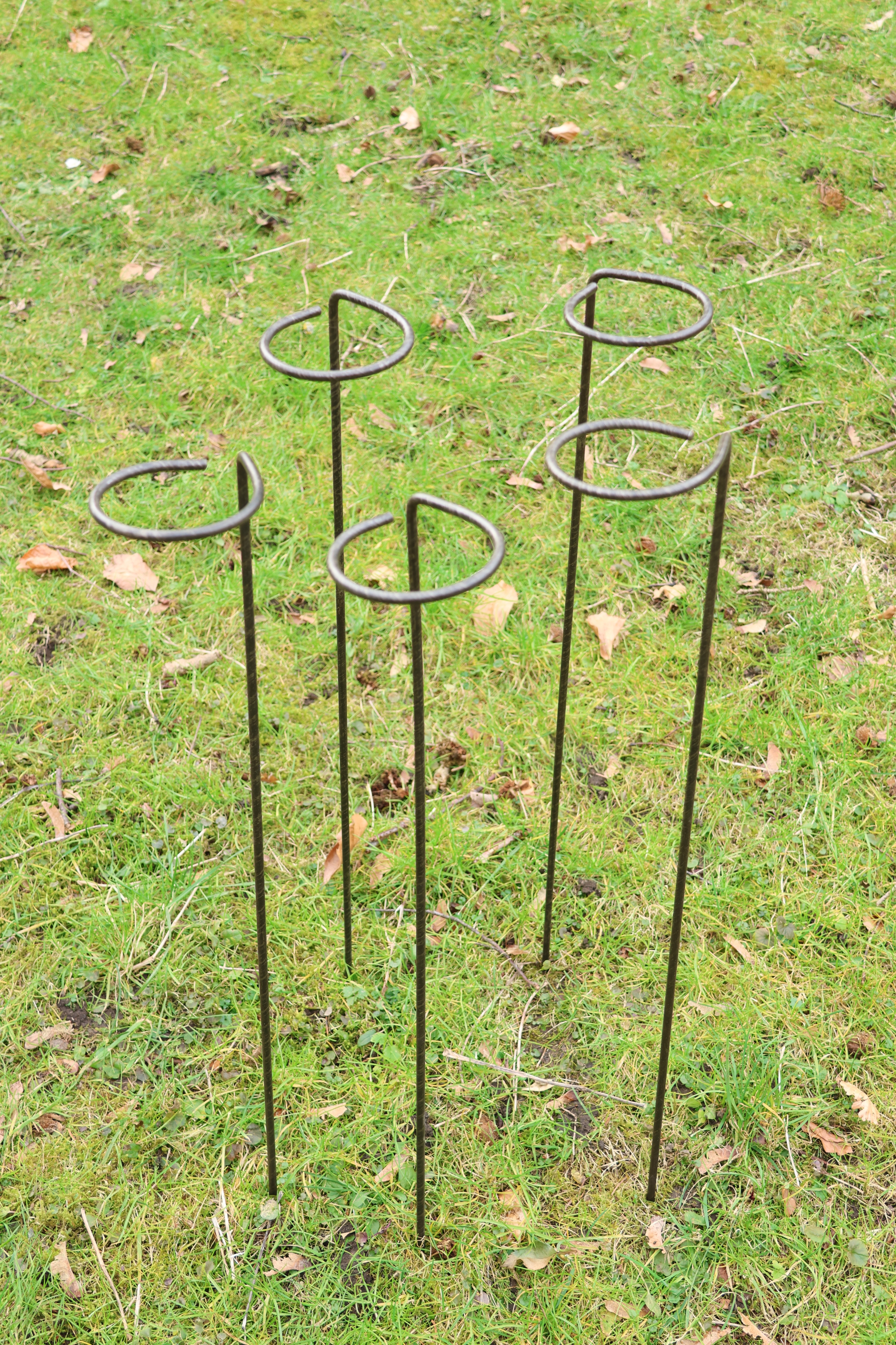 5 Stück Blütenstütze Volleisen 85 cm