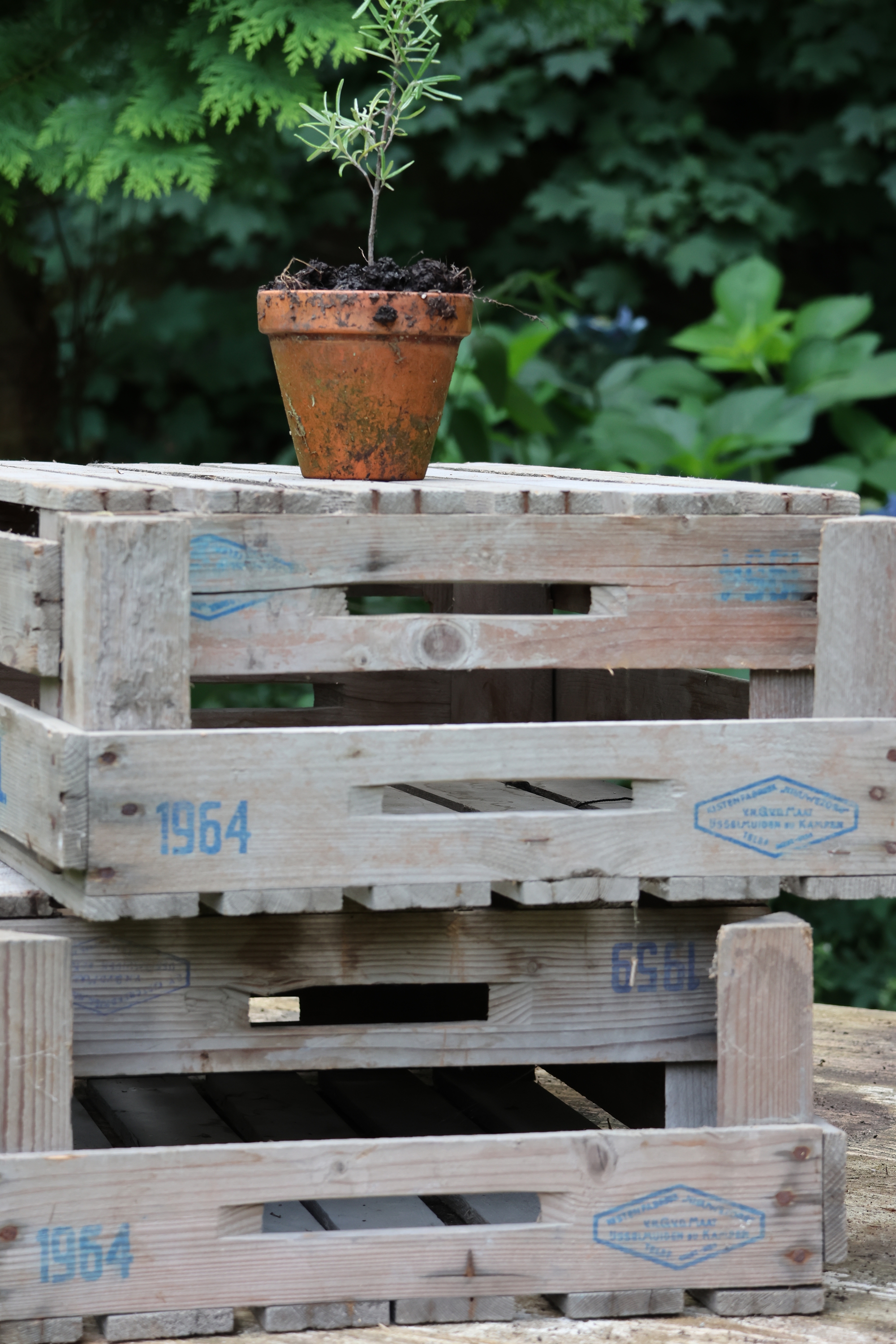 4er Set alte Holzkiste, Lagerkiste holz